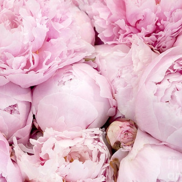 Meet your Posher, HelpMeStyle Kids & Men Page! - Picture 1 of 1